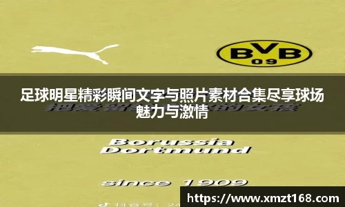 足球明星精彩瞬间文字与照片素材合集尽享球场魅力与激情