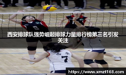 三亿体育有限公司